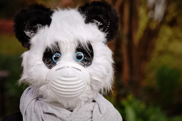 Rollers Casino Ondersteuning